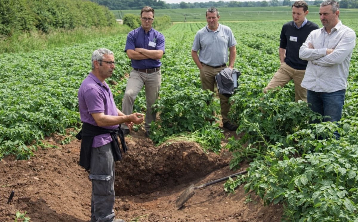 UK: Shropshire potato producers host leading technical event