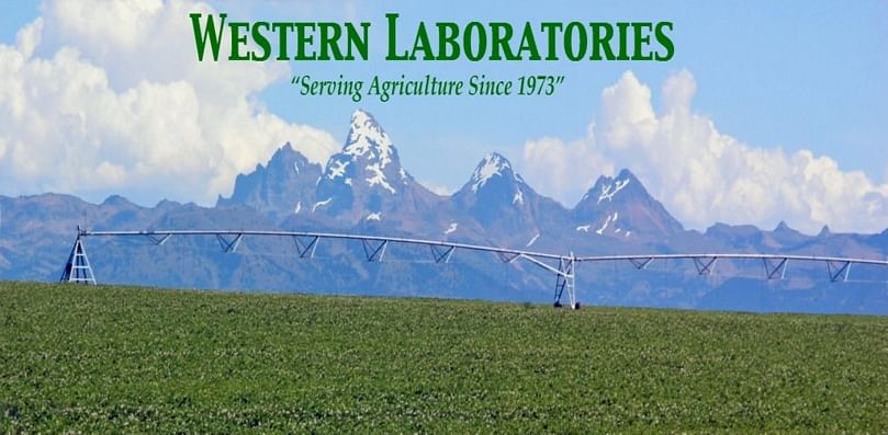 Western Laboratories