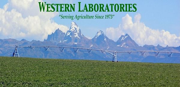 Western Laboratories