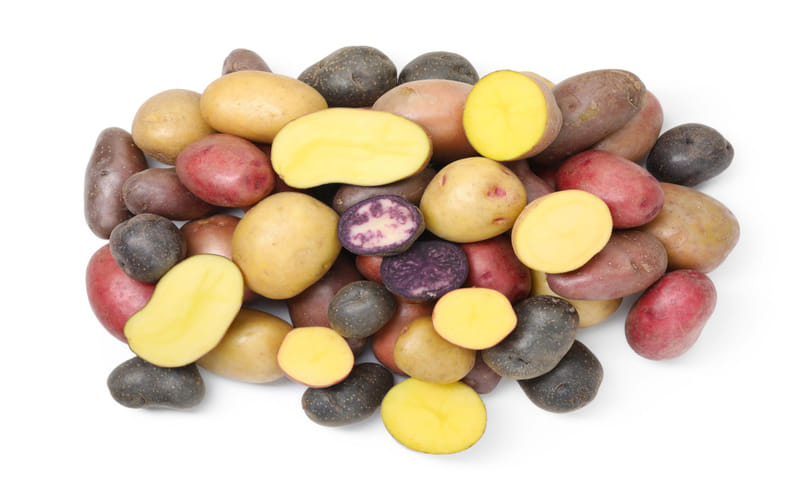 Diverse Specialty Potato Varieties for Culinary Applications Diverse Specialty Potato Varieties for Culinary Applications