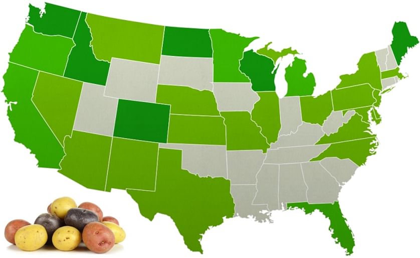 Map showing which States grow the most potatoes in the United States: grey: least, dark green: most (Courtesy: PotatoesUSA)
For more details on each state - including historical data - visit United States Potato Stats

