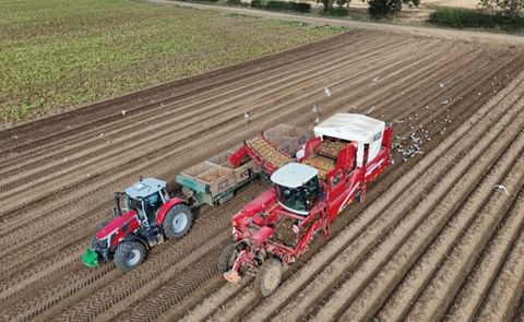 Where is the crop industry with nematode biocontrols? Where is the crop industry with nematode biocontrols?