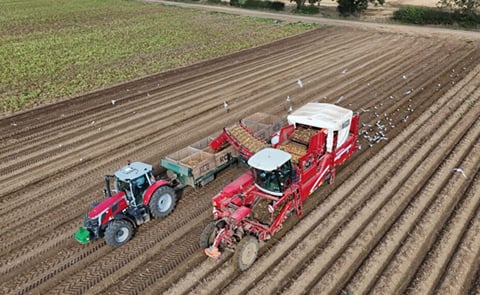 Where is the crop industry with nematode biocontrols? Where is the crop industry with nematode biocontrols?