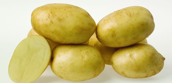 Bright future for New Zealand potato variety &#039;White Beauty&#039;