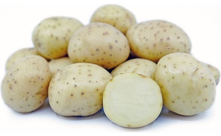 WHITE ROSE WHITE ROSE