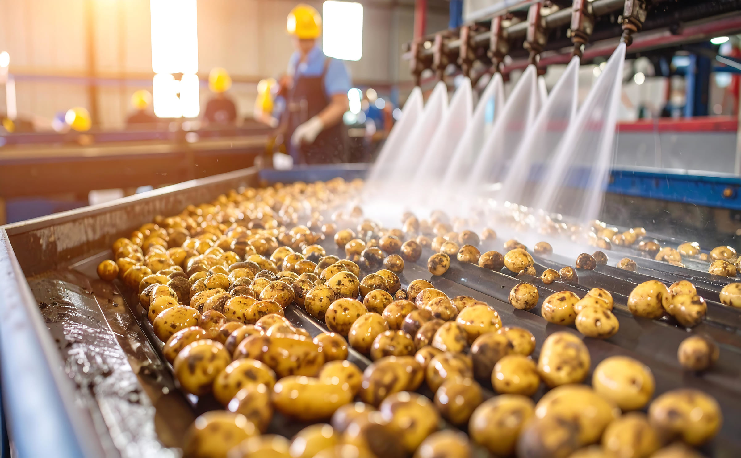 Where Are Defoaming Agents Used in the Potato Industry?