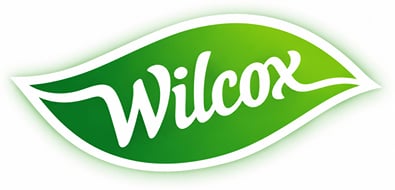 Wilcox Fresh Wilcox Fresh