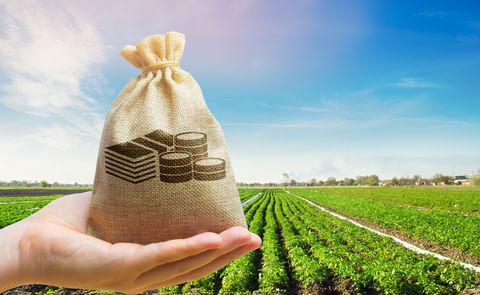 Wilcox Fresh expands its supply of Famous Idaho Potatoes by acquiring heirloom fingerling grower and shipper, Southwind Farms. Wilcox Fresh expands its supply of Famous Idaho Potatoes by acquiring heirloom fingerling grower and shipper, Southwind Farms.