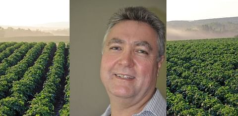 Willie Jacobs appointed as CEO of Potatoes South Africa (PSA)