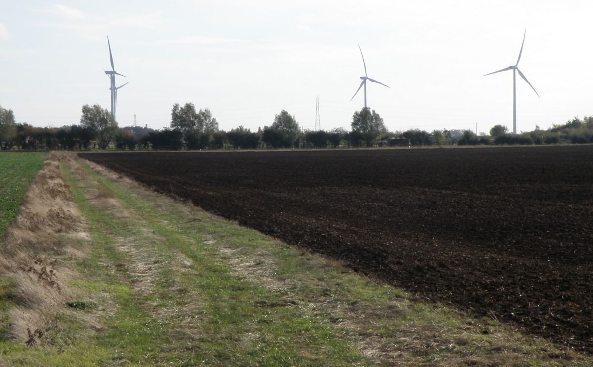 windturbines McCain Foods GB (courtesy: Michael Trolove) windturbines McCain Foods GB (courtesy: Michael Trolove)