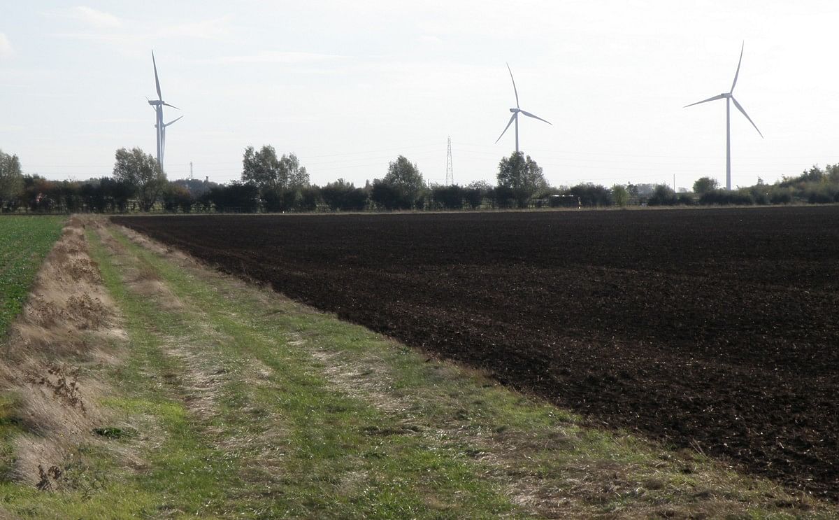 One of the three windturbines at McCain Foods Whittlesey (courtesy: Michael Trolove) One of the three windturbines at McCain Foods Whittlesey (courtesy: Michael Trolove)