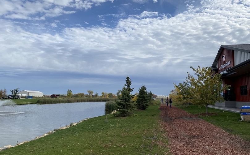 The Discover Nature Sanctuary walking path is right behind The Potato Store, which itself is located directly across the pond from the Kroeker's head office