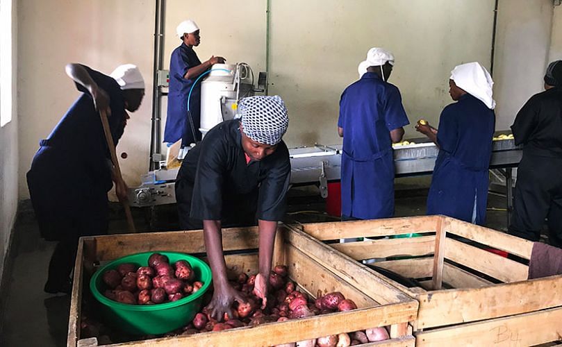 Workers at the Winnaz potato processing plant peeling and inspecting potatoes.