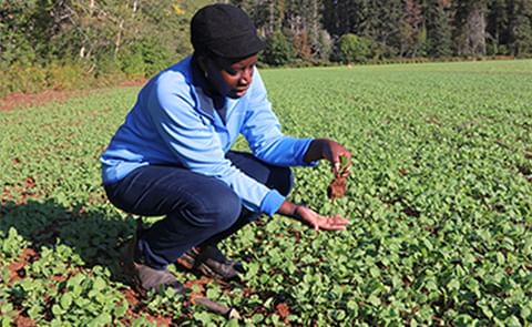 Winter cover crop research yields positive results for environment
Winter cover crop research yields positive results for environment