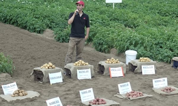 Wisconsin Potato Growers looking to the Future