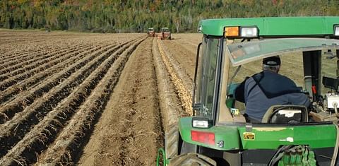 It's shaping up to be a banner year for Aroostook County (Maine) potatoes