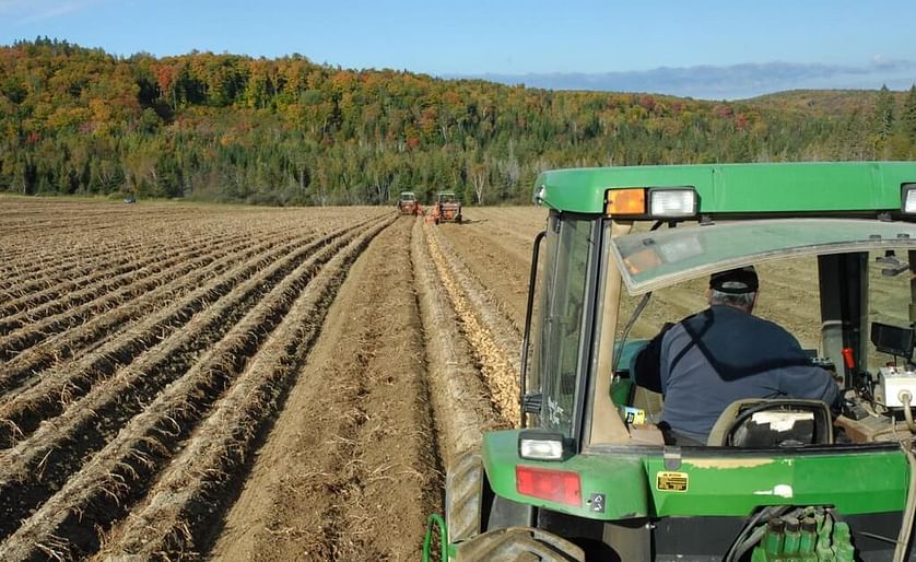 With over 80 percent of the Aroostook County (Maine) potato harvest complete, yields are expected to be above average.&nbsp;(Courtesy: Julia Bayly | BDN)