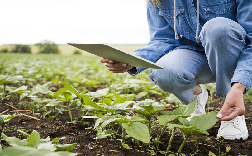 Enhancing Potato Cultivation Efficiency with EOSDA Crop Monitoring Enhancing Potato Cultivation Efficiency with EOSDA Crop Monitoring