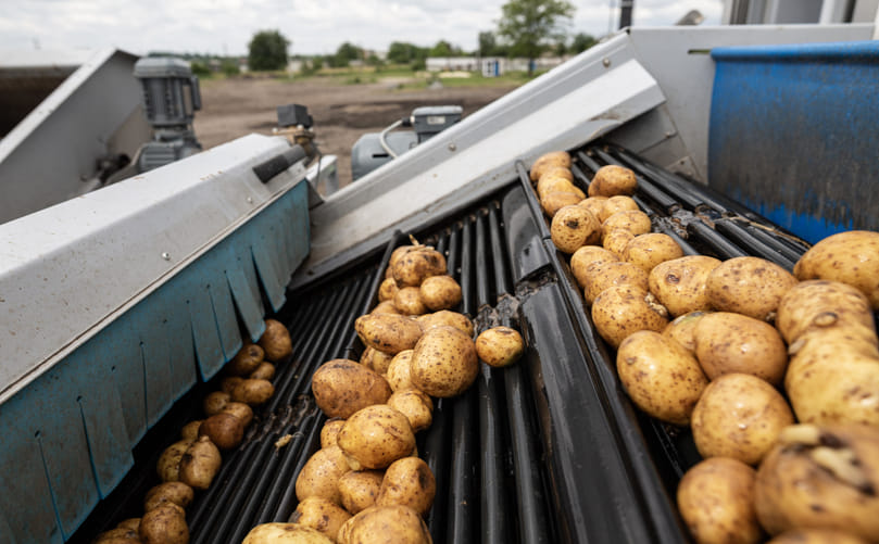 Potato Washing System: Working Principle and Multi-Stage Cleaning Process