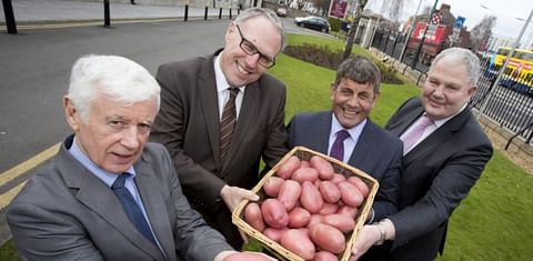 Ireland selected to host World Potato Congress in 2021