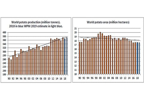 World Revised Figures Show Halt in Rise in Potato Production World Revised Figures Show Halt in Rise in Potato Production