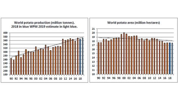 World Revised Figures Show Halt in Rise in Potato Production