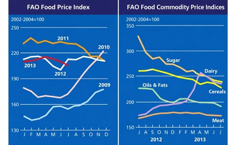 World Food prices coming down World Food prices coming down