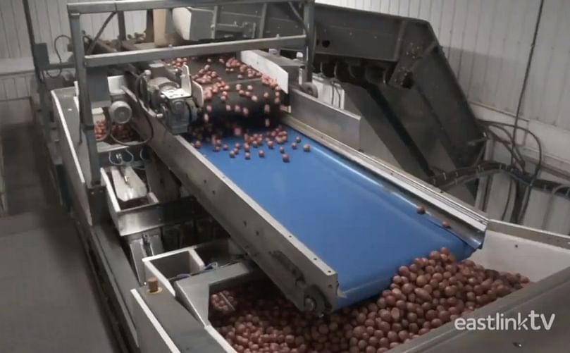 Corporate video presentation of potato company W.P. Griffin in the series 'Maritime Made'