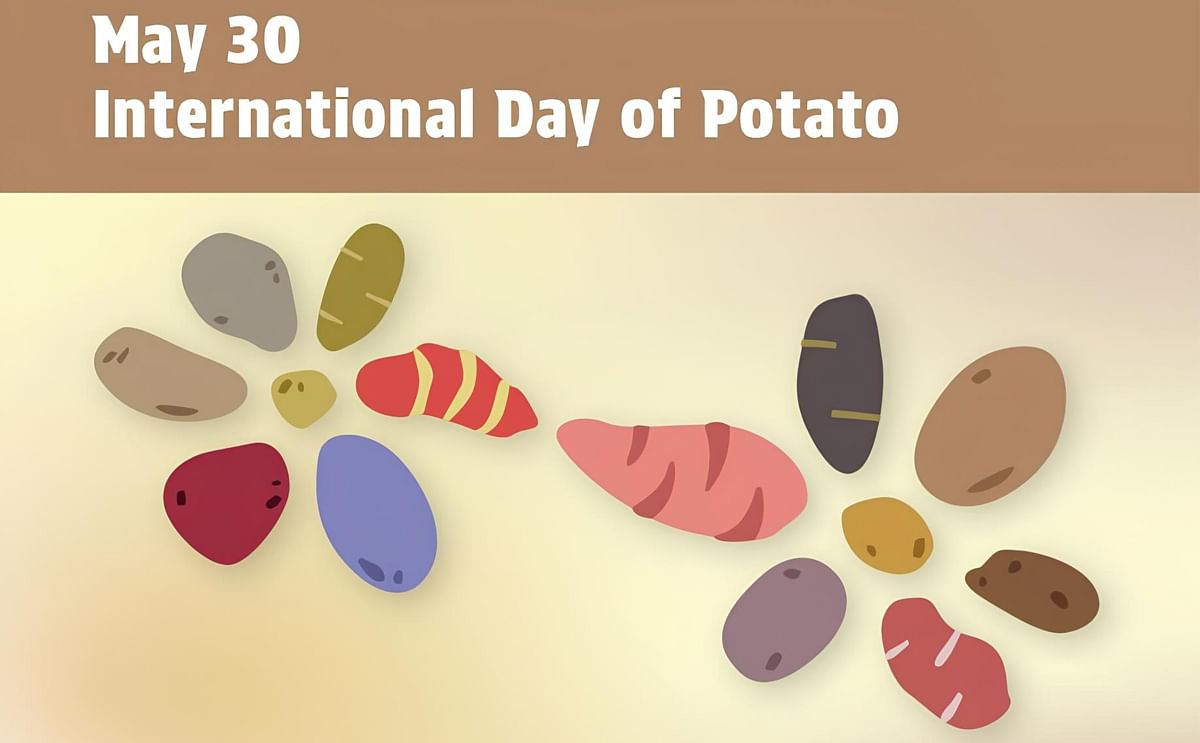 WPC Webinar "International Day of Potato -Harvesting Diversity, Feeding Hope"