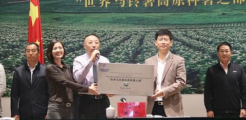 World Potato Congress Inc. Recognizes Zaotong as 'Potato Plateau Seed Potato Capital of the World'