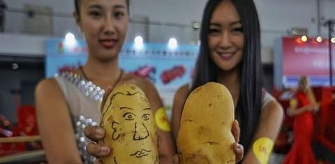 Exhibitors display potatoes during the China Potato Expo in Yanqing County of Beijing, capital of China, July 28, 2015 (Xinhua)