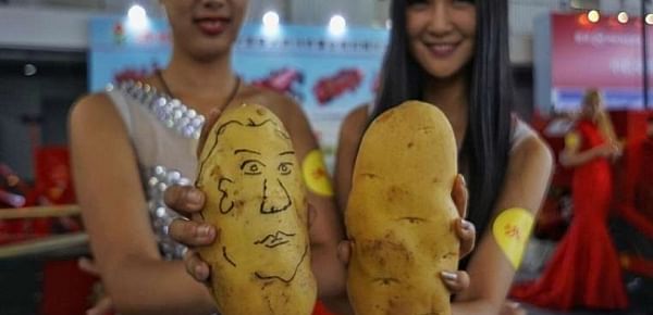 Exhibitors display potatoes during the China Potato Expo in Yanqing County of Beijing, capital of China, July 28, 2015 (Xinhua)