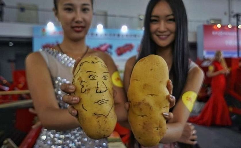 Beijing World Potato Conference highlights research and development