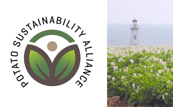 WPC Webinar: The Ecosystem Elements of Potato Sustainability