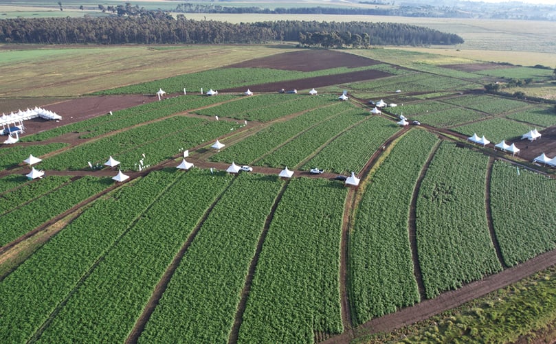 Aerial view of the demonstration fields that will be featured during the World Potato Congress 2026 post-congress technical tours in Kenya. Aerial view of the demonstration fields that will be featured during the World Potato Congress 2026 post-congress technical tours in Kenya.