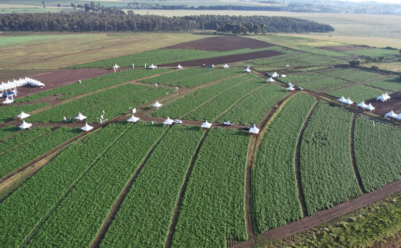 Aerial view of the demonstration fields that will be featured during the World Potato Congress 2026 post-congress technical tours in Kenya. Aerial view of the demonstration fields that will be featured during the World Potato Congress 2026 post-congress technical tours in Kenya.