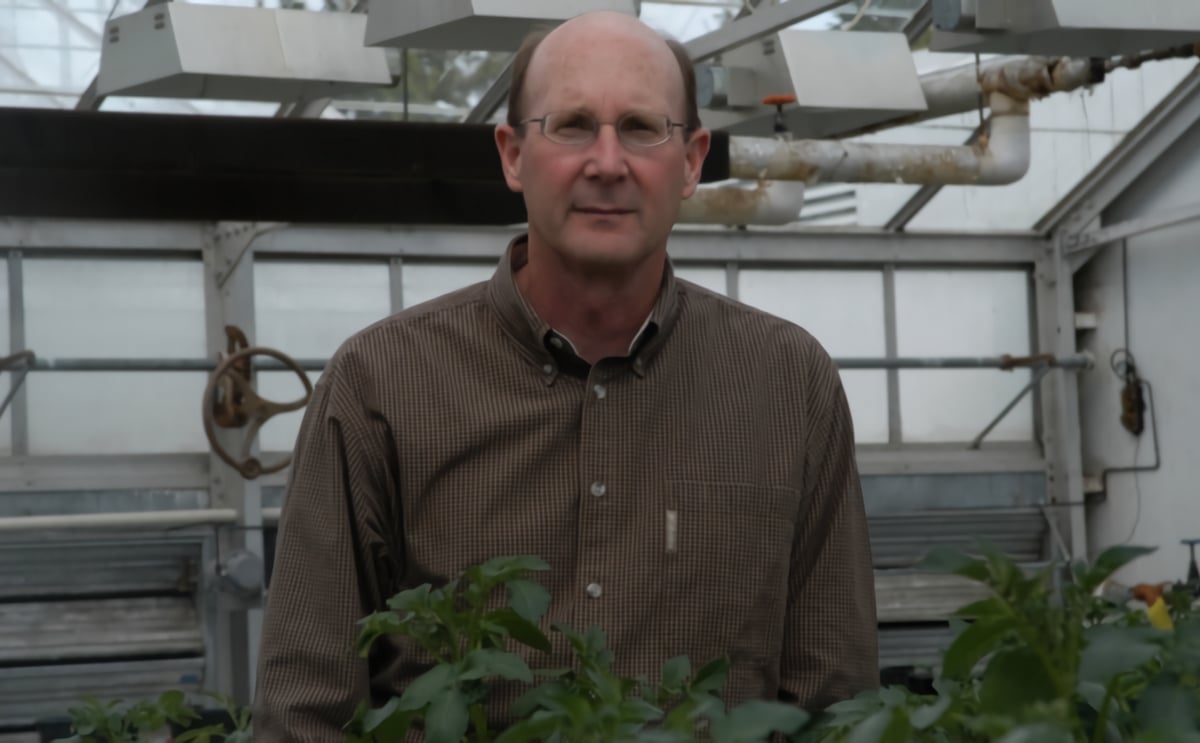 Potato White Mold: how it spreads and how it can be managed Potato White Mold: how it spreads and how it can be managed