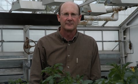 This webcast on Potato white mold - also known as Sclerotinia stem rot - is developed by Dennis A. Johnson, Ph.D. Professor, Extension Plant Pathologist, Washington State University (Courtesy: Washington State University) This webcast on Potato white mold - also known as Sclerotinia stem rot - is developed by Dennis A. Johnson, Ph.D. Professor, Extension Plant Pathologist, Washington State University (Courtesy: Washington State University)