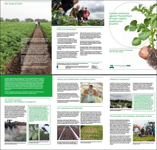 Brochure with an overview of the research results. Click to read.
Brochure with an overview of the research results. Click to read.