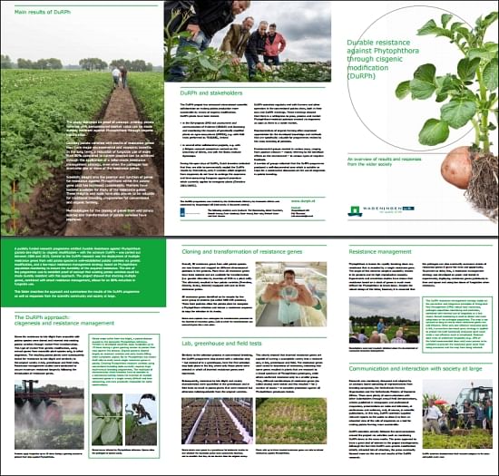 Brochure with an overview of the research results. Click to read.
