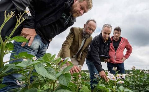 DuRPh Scientists monitoring the status of the trial plots DuRPh Scientists monitoring the status of the trial plots