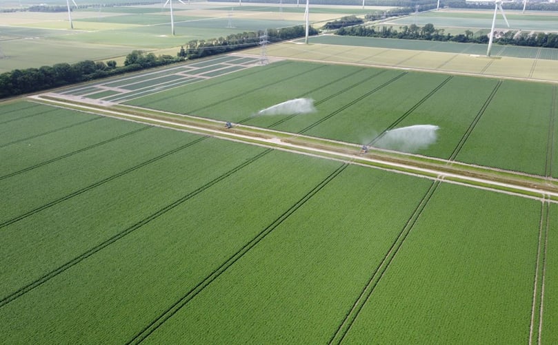 Demo fields in action with irrigation systems at the PotatoEurope 2025 site in Lelystad.