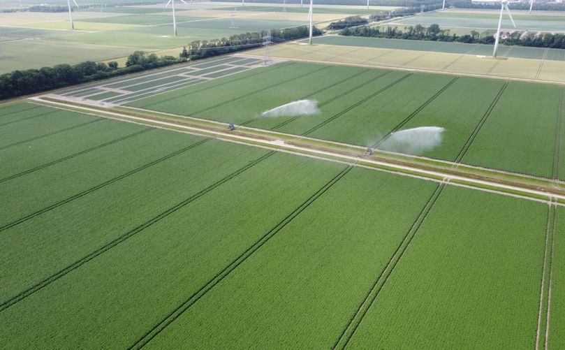 Demo fields in action with irrigation systems at the PotatoEurope 2025 site in Lelystad.