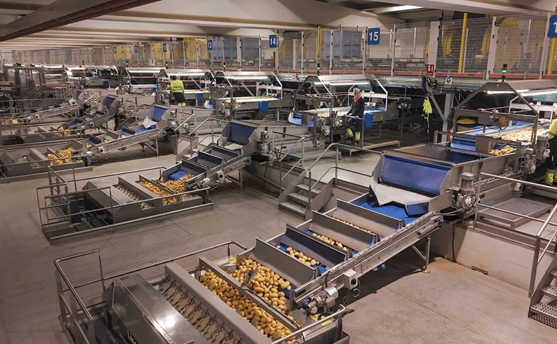 Precision Grading Systems for High-Quality Potato Sorting Precision Grading Systems for High-Quality Potato Sorting