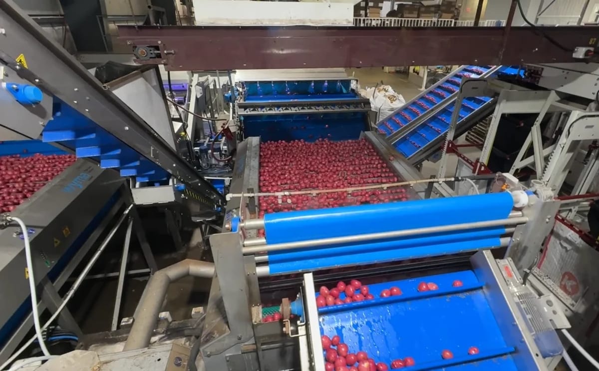 Wyma delivers 50–60 tonne-per-hour potato wash line for Heartland Fresh Pak, Manitoba Wyma delivers 50–60 tonne-per-hour potato wash line for Heartland Fresh Pak, Manitoba
