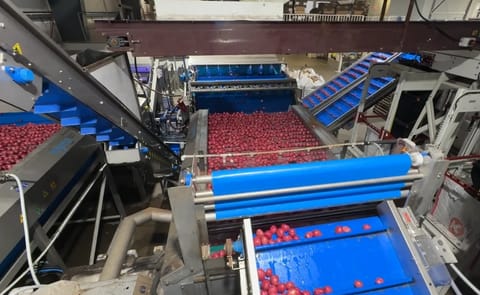 Wyma delivers 50–60 tonne-per-hour potato wash line for Heartland Fresh Pak, Manitoba Wyma delivers 50–60 tonne-per-hour potato wash line for Heartland Fresh Pak, Manitoba