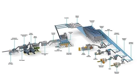 Wyma Medium Potato Line Wyma Medium Potato Line