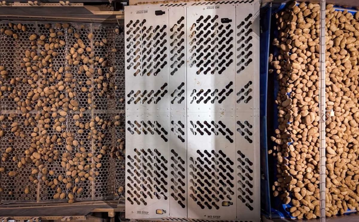 Wyma’s waste removal solutions help processors improve efficiency, protect downstream equipment, and deliver cleaner product flow. Wyma’s waste removal solutions help processors improve efficiency, protect downstream equipment, and deliver cleaner product flow.