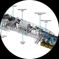 Small line to pack potatoes
