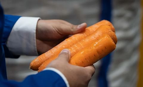 The OptiClean project enhances the washing and polishing of root vegetables to reduce food waste by extending their shelf life, supported by Denmark's Green Development and Demonstration Programme. The OptiClean project enhances the washing and polishing of root vegetables to reduce food waste by extending their shelf life, supported by Denmark's Green Development and Demonstration Programme.